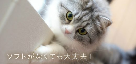 ソフトがなくても大丈夫！画像サイズを調整してみよう。